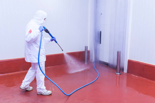 Best Spring Cleaning  in Phoenix, OR